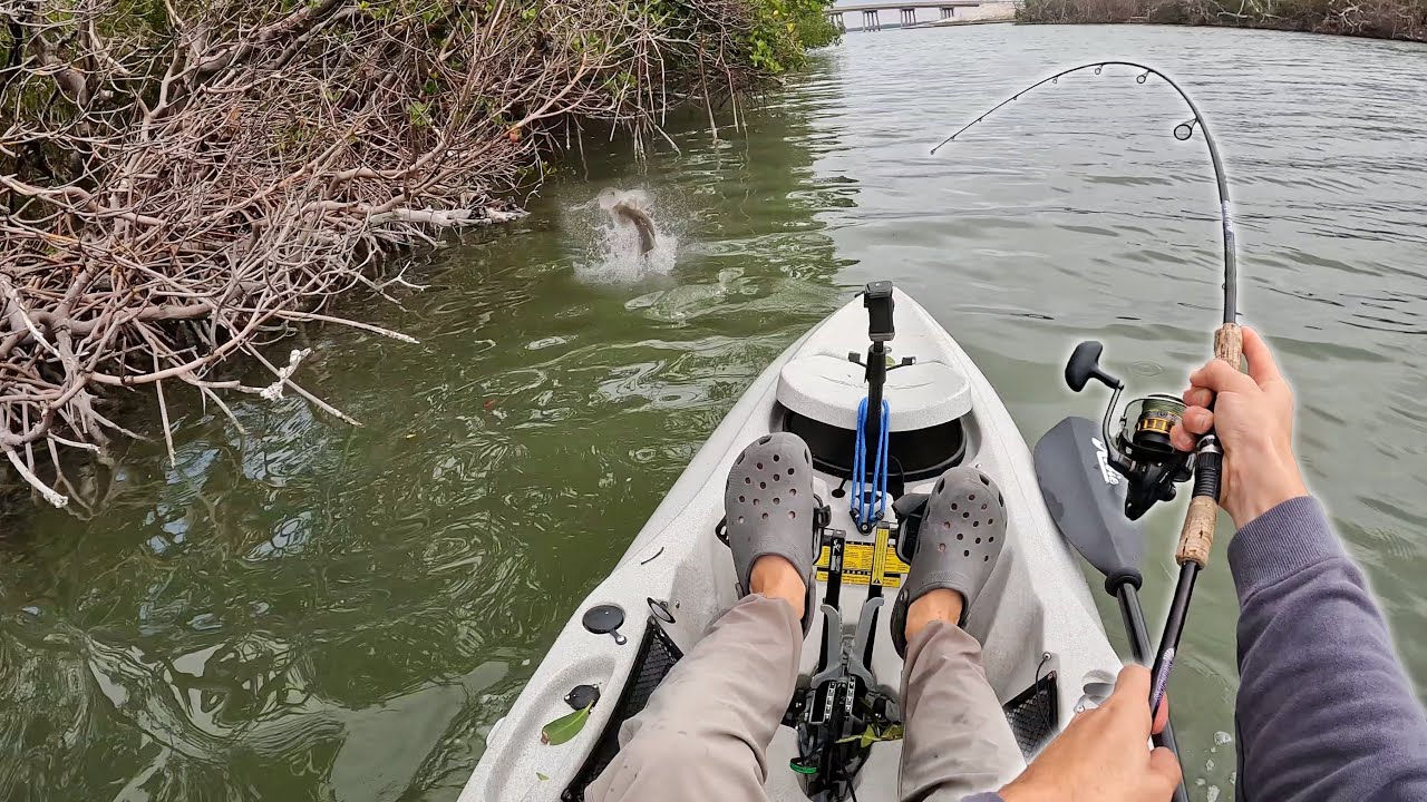 Backwater Mangrove Fishing New Waters! South Florida Kayak Fishing