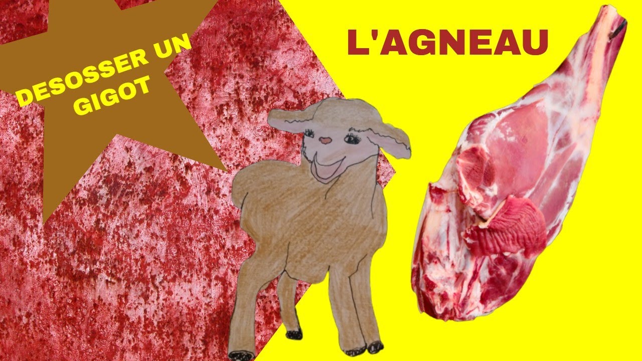 comment désosser un gigot facilement