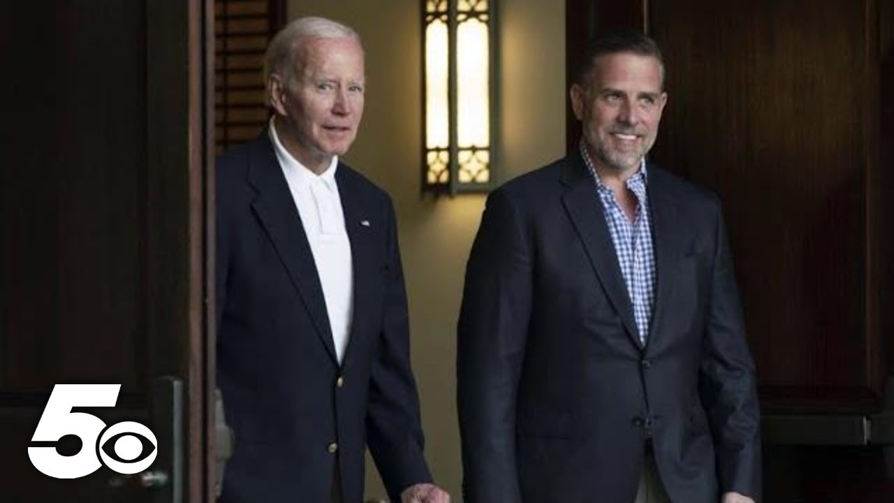 Hunter Biden's ex-business partner testifies