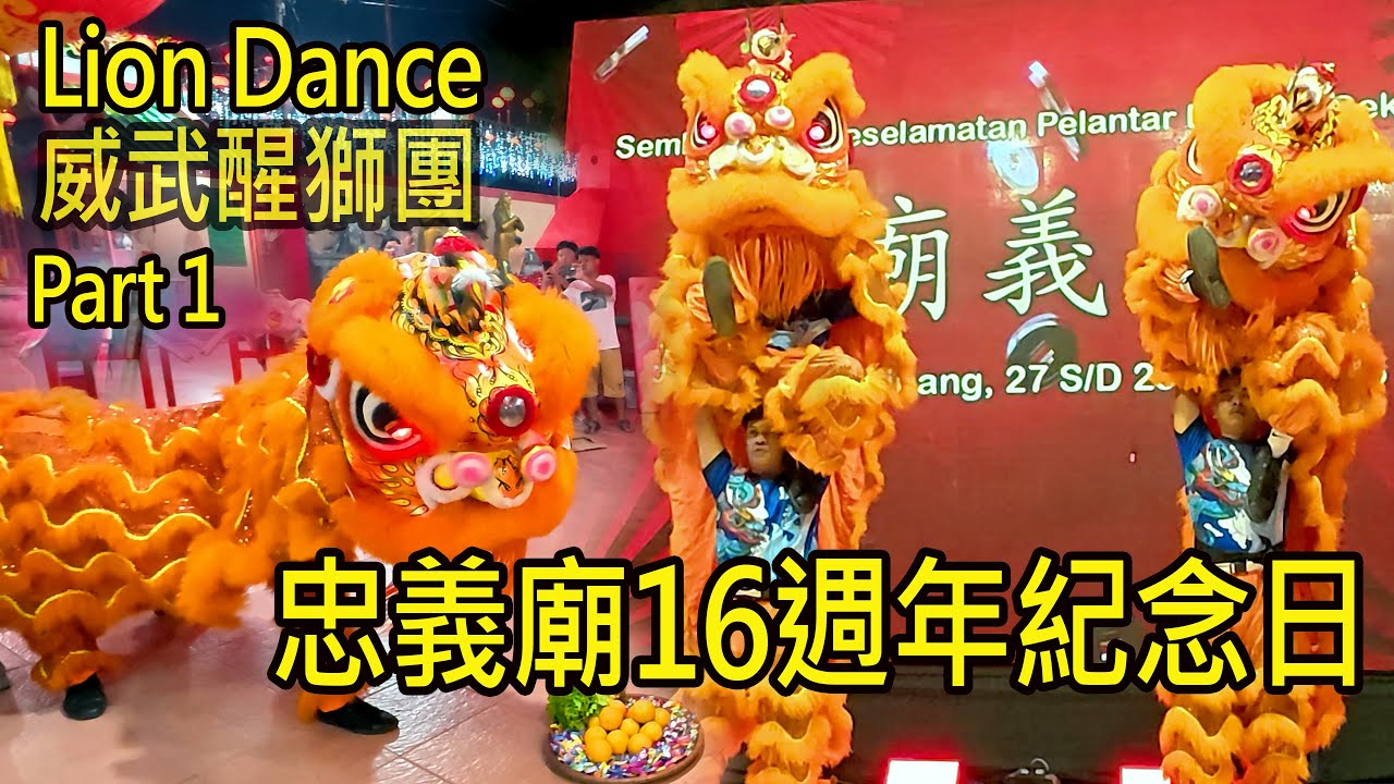 忠義廟16週年紀念日 2025 第 1 部分威武醒獅團 Lion dance Weiwu Tjp @Zhōng y&igrave; mi&agrave;o Temple Pelantar datuk Tanjung Pinang