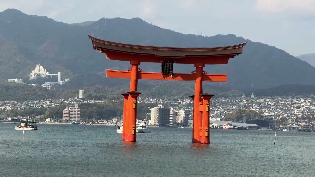 2025 11 27宮島動画13分