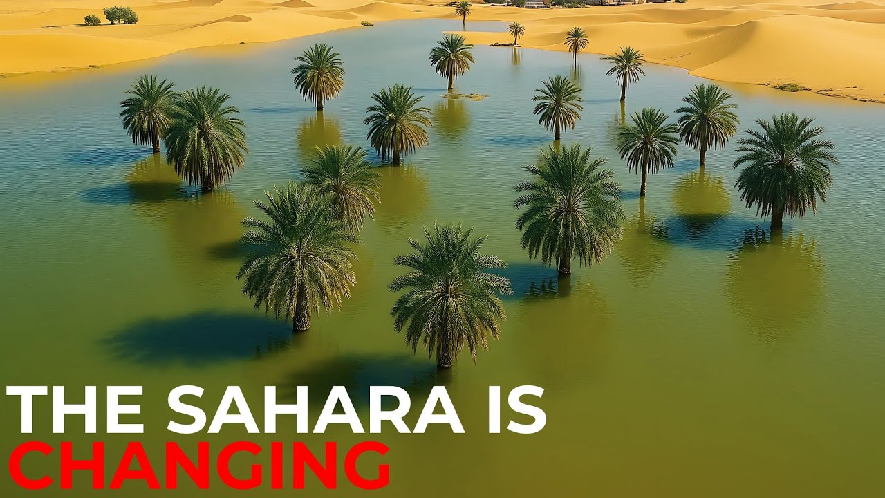 Sahara Desert Experiences Rare Flooding &ndash; Climate Red Flags Ahead?