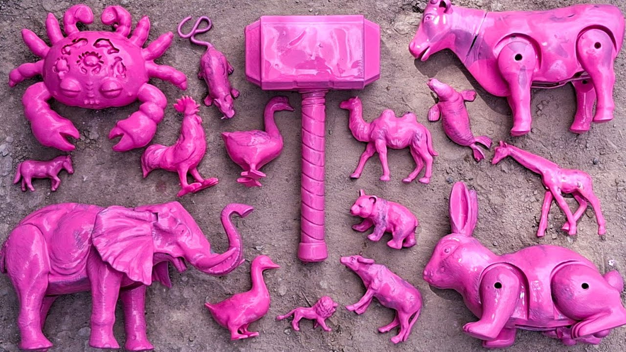 Membersihkan hewan sapi, bebek, angsa, ayam, gajah, simpanse, singa, unta, buaya, kangguru