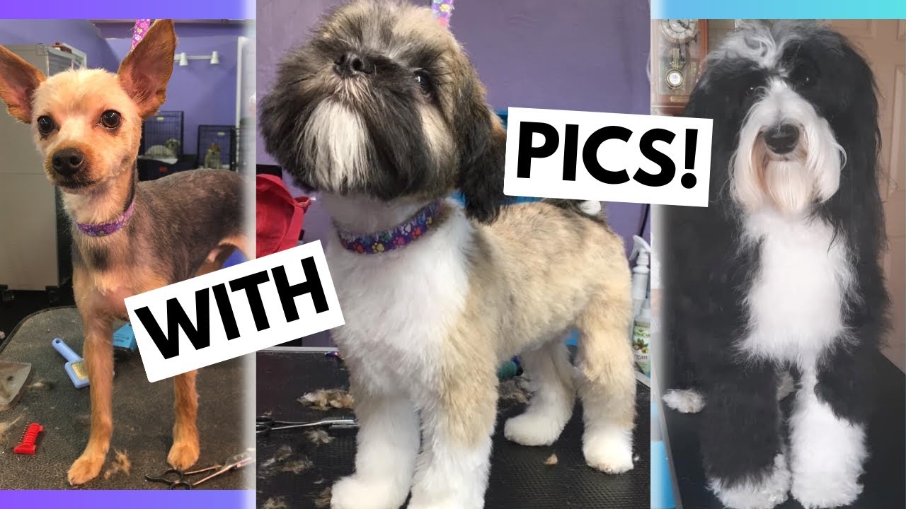 Every Possible Haircut Length, WITH Pictures!