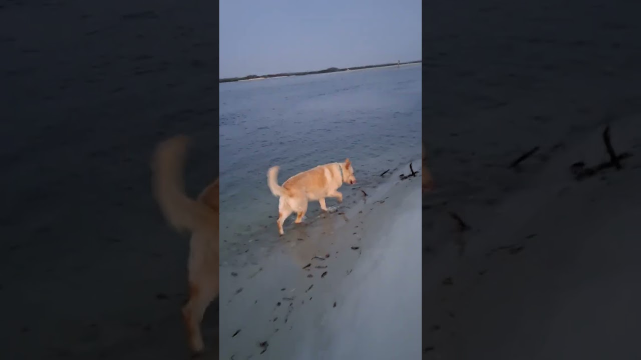 Kela at Ponce Inlet!!