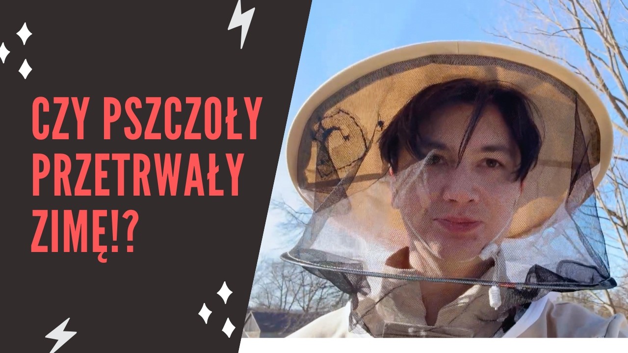 Czy pszczoły przezimowały? Sprawdzam! Pierwsza zimowla
