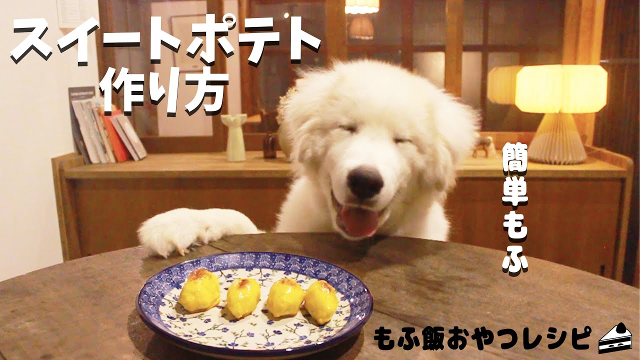 犬おやつ手作りレシピ｜スイートポテトの作り方【もふ飯】