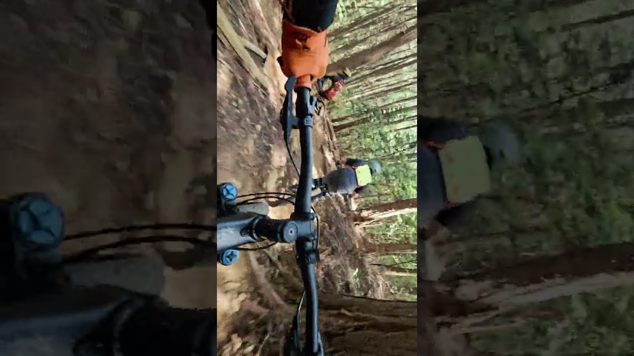 ATERA MTB. #2024