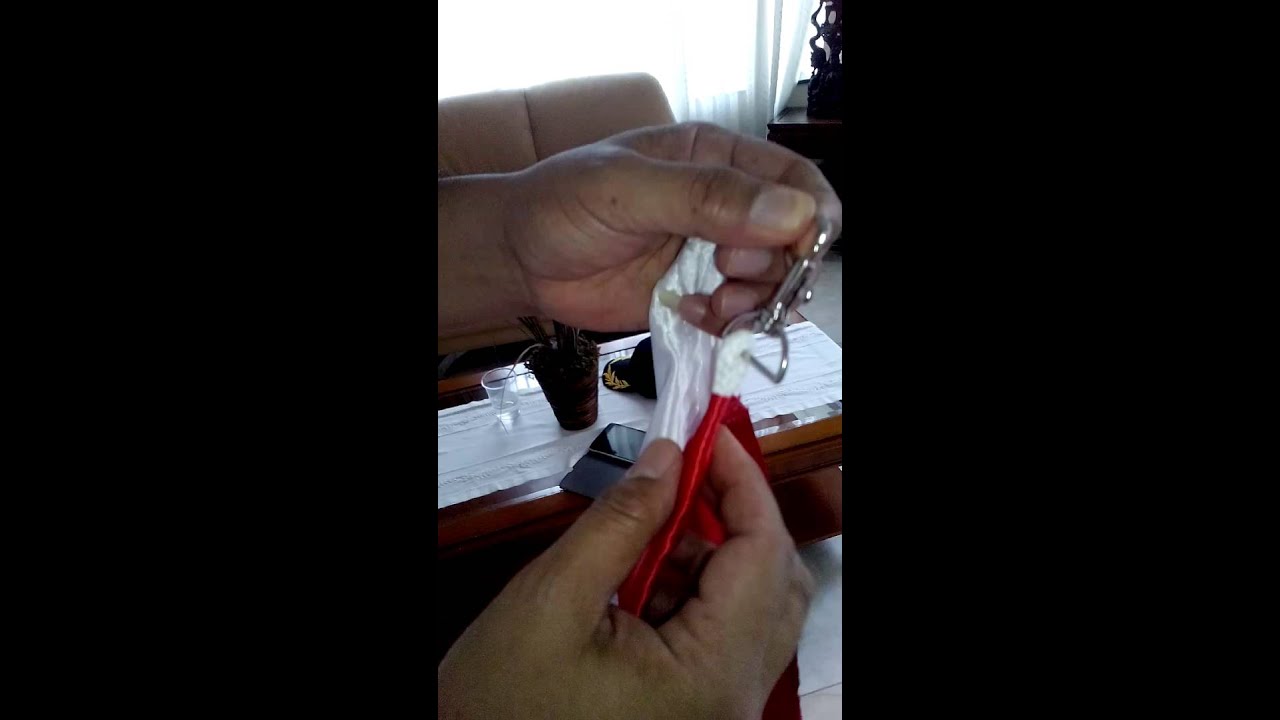 Sangsaka merahputih 2015 di HKG