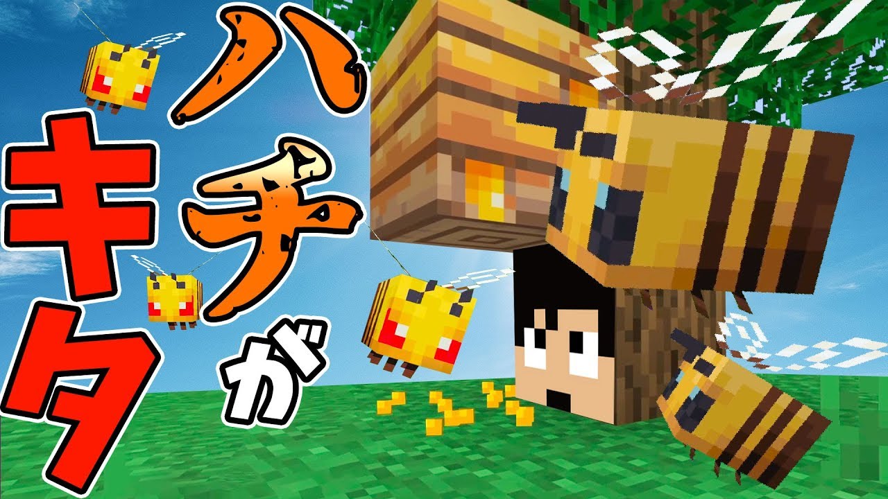 【カズクラ2019】最新アプデでハチがきたぁぁっぁ!!マイクラ実況 PART343
