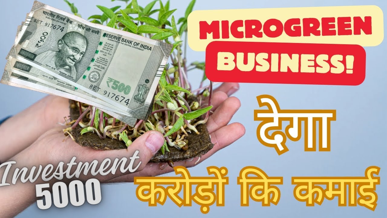 Microgreens Business in India: कम निवेश में बड़ा मुनाफा | 5000 लागत से 1 करोड़ का मुनाफा #agri