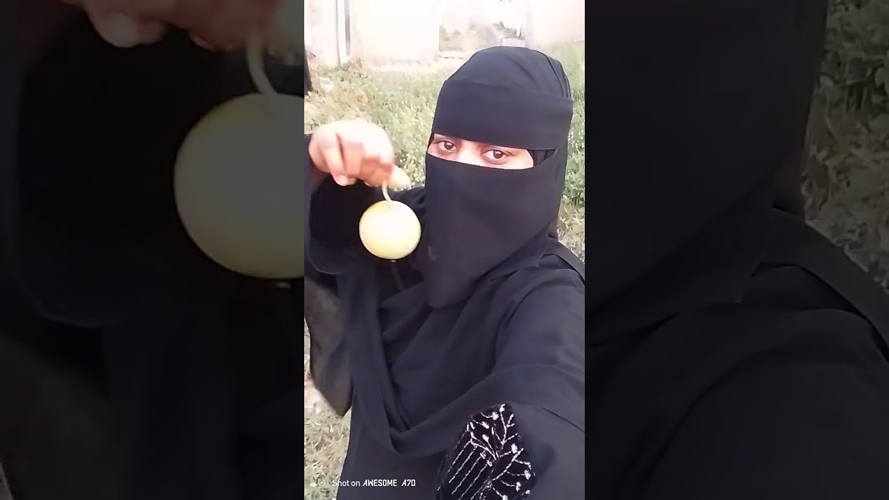 ጀከ ርያ  ዓደይ     ኣጋ ምሸት/24/4/   2018