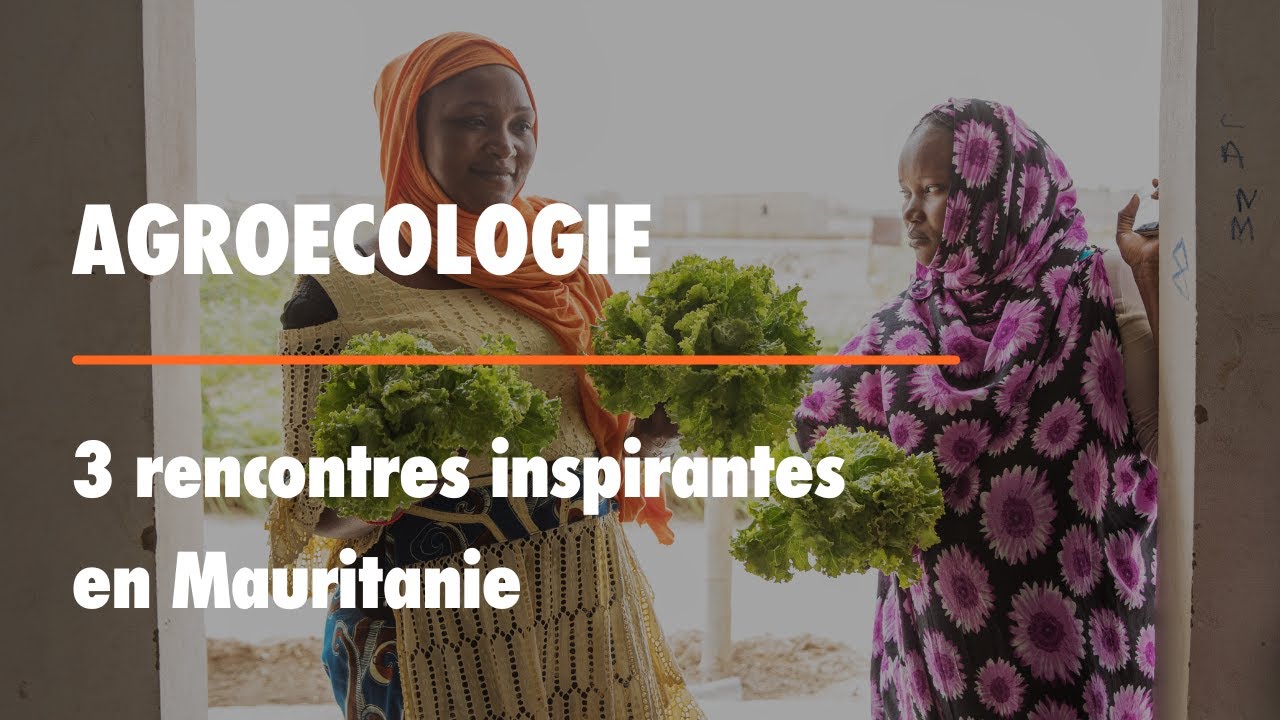 Agroécologie : 3 rencontres inspirantes en Mauritanie