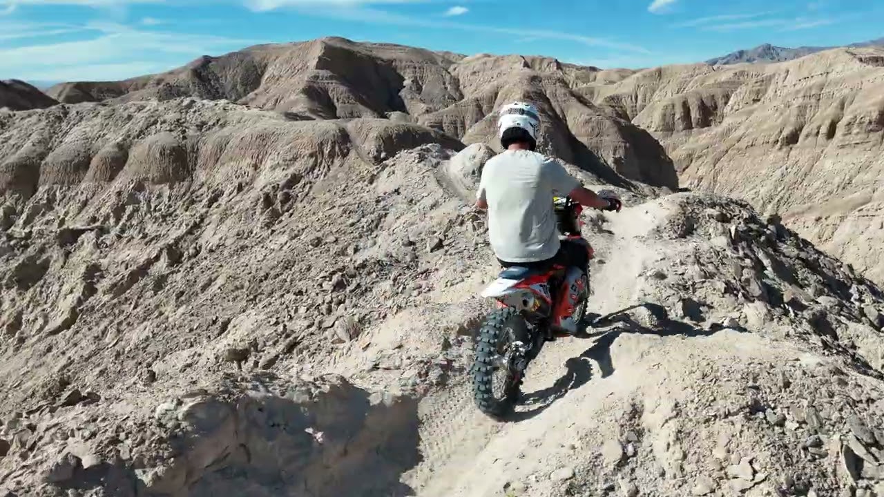 Ocotillo 1-18-25
