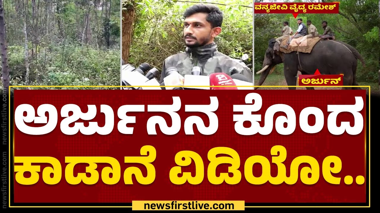 Arjunaನ ಕೊಂದ ಆನೆ ವಿಡಿಯೋ..| Dr Ramesh | Dasara Elephant Arjuna | @newsfirstkannada