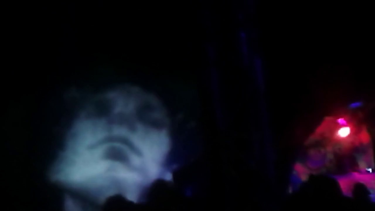 Noise Poison 2015 Visuals