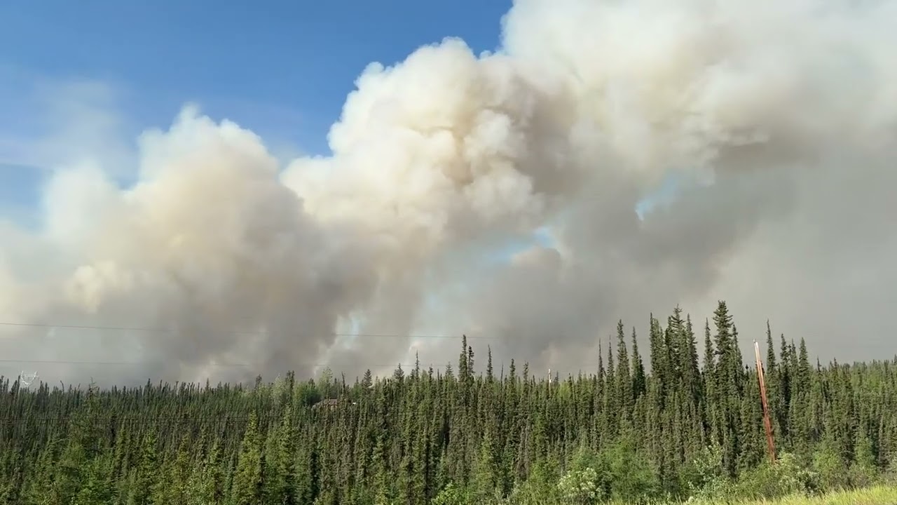 Field Report: Bonanza Creek Fire  - July 3, 2025