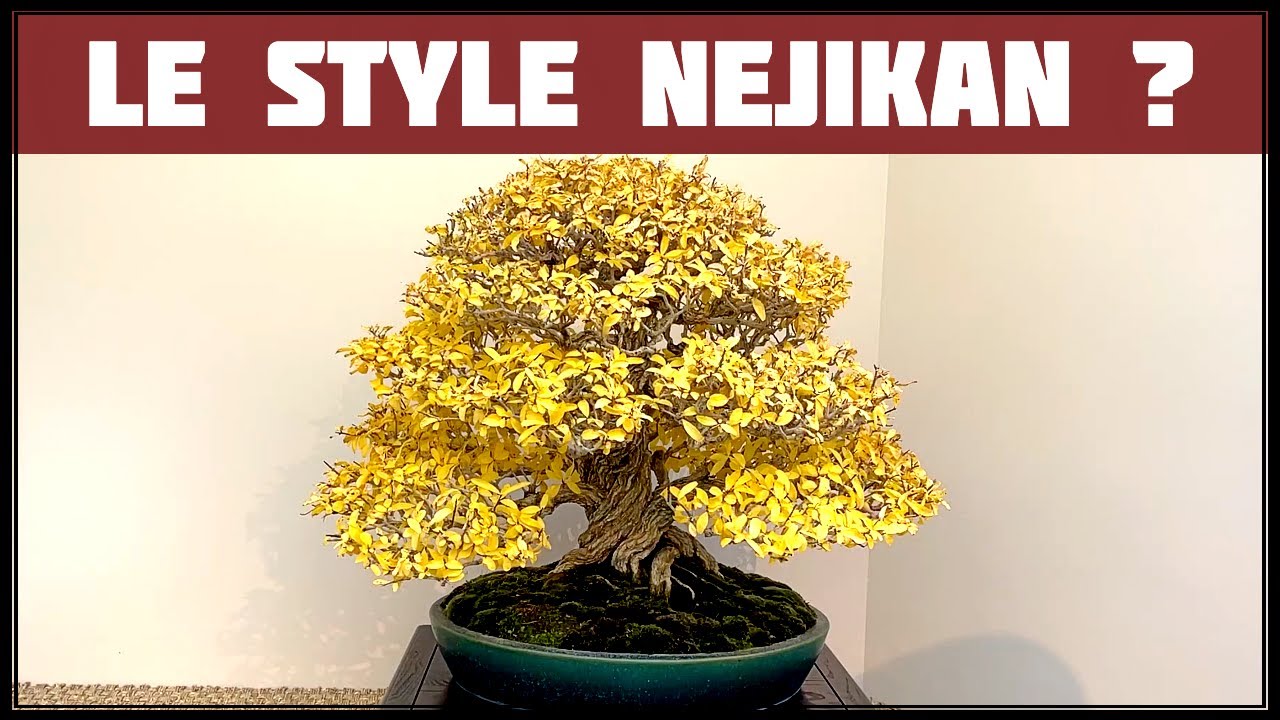 LE STYLE NEJIKAN par Alexandre ESCUDERO 🔴NEJIKAN CLUB EXPERT🔴
