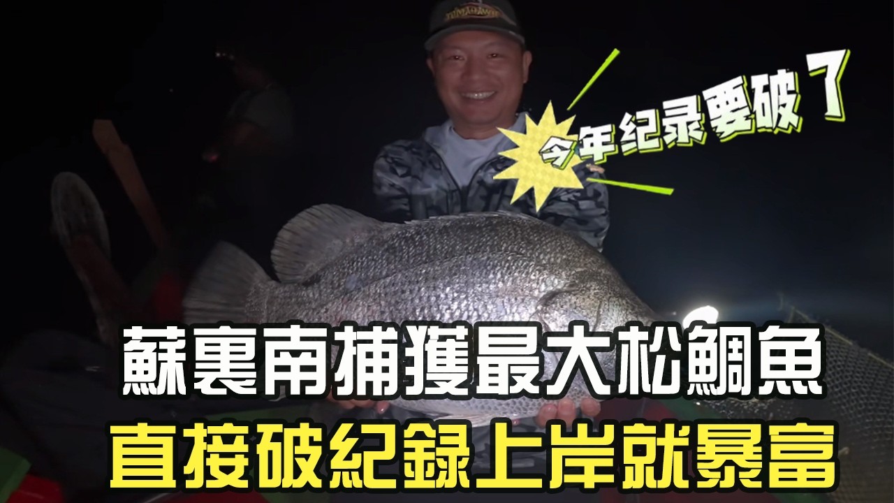 開年走大運！蘇裏南捕獲最大松鲷魚，直接破紀錄上岸就暴富#阿牛愛捕魚 #趕海 #熱門 #蘇裏南