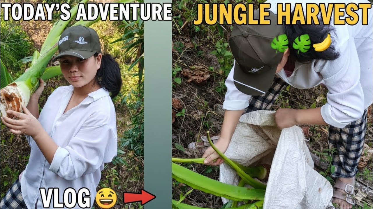 #ajj humme  pig 🐷 ke liye 😅 jungle jana para#uska food 🥑🥝 ke liye 😅!!!