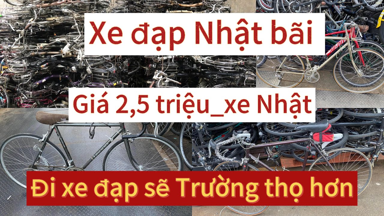 Thanh lý xe đạp đua Nhật bãi giá rẻ nhất 2,5 triệu-xe đạp Nhật-xe đạp Đức -xe đạp Mỹ full carbon