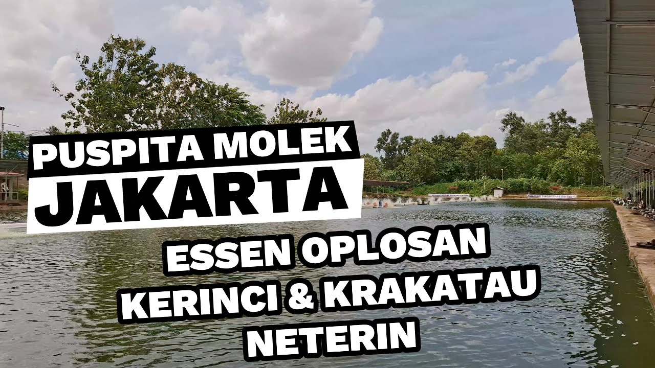 PEMANCINGAN GALATAMA IKAN MAS PUSPITA MOLEK JAKARTA