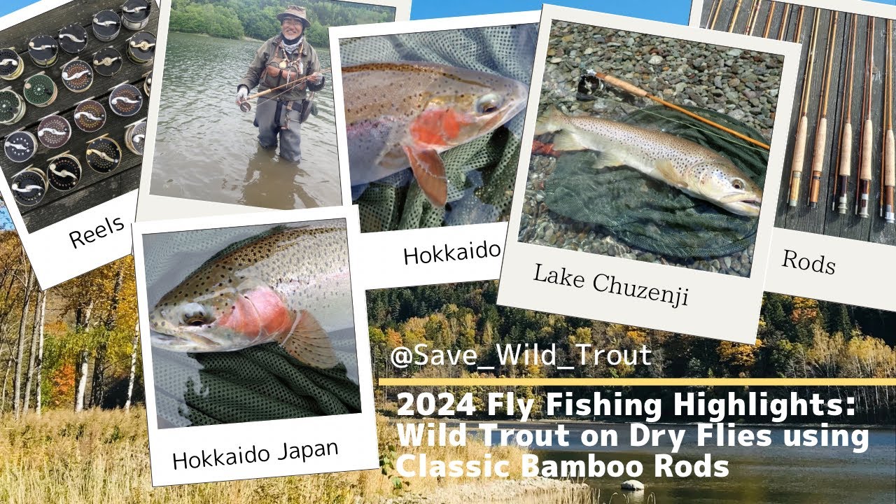 2024 Fly Fishing Highlights: 中禅寺湖・北海道フライフィッシング — 2024年総集編 @Save_Wild_Trout