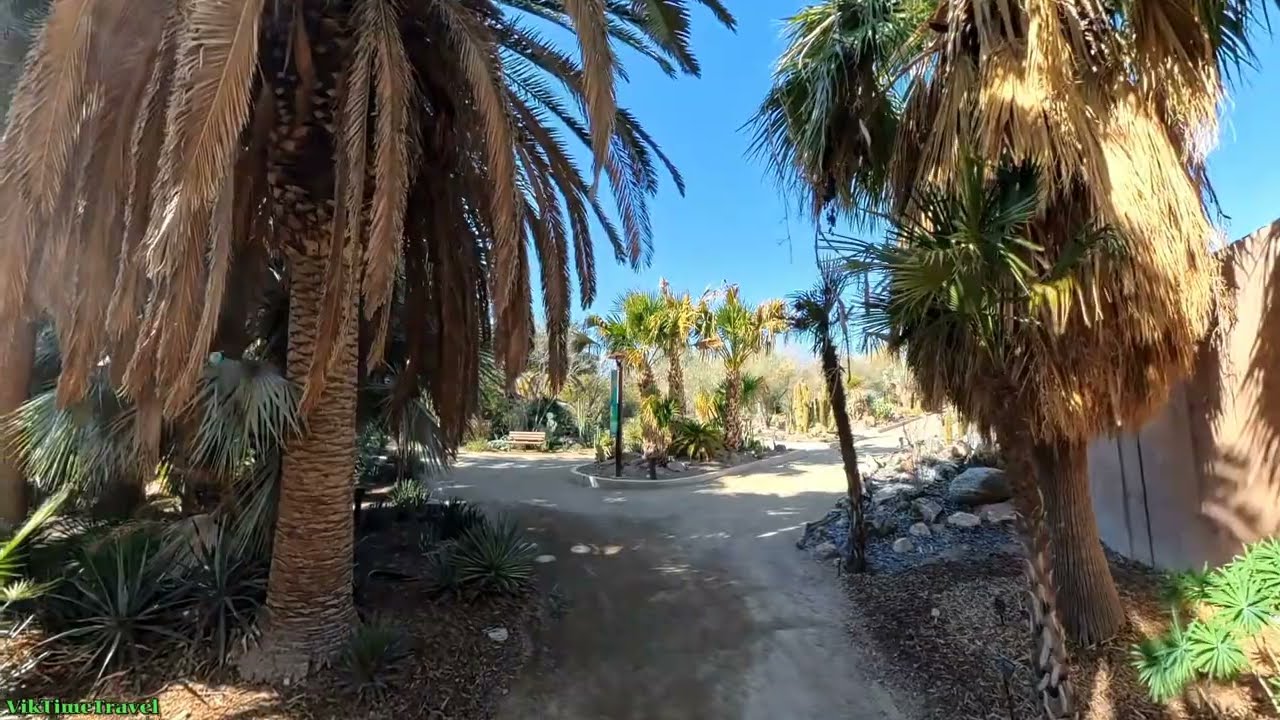 Walkabout at Springs Preserve Las Vegas | Exploring Cactus Alley 🌵