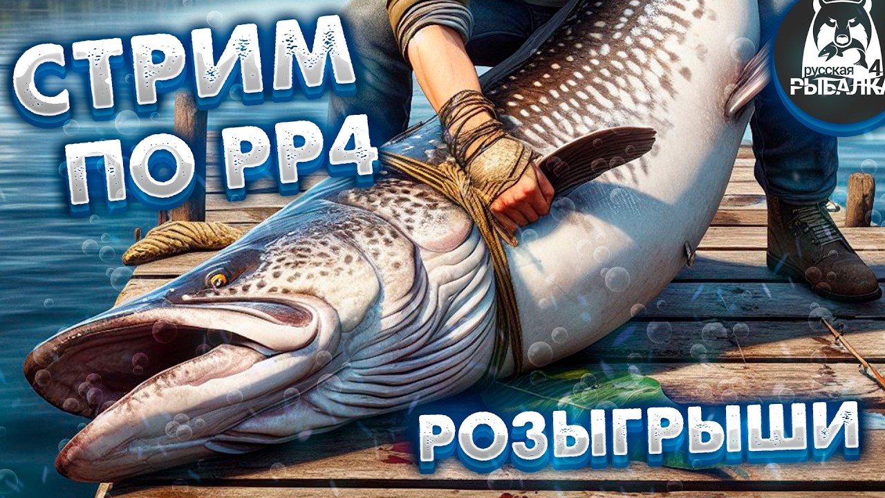 Русская рыбалка 4 🌎Фармим серу!!!🐠Розыгрыш Silver 80(23.6кг)🔥Снасти,премы и гн в рулетке🔥