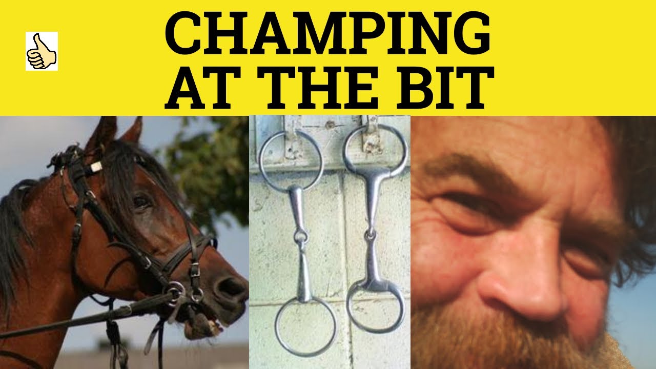 🔵 Champing or Chomping at the Bit- Champing at the Bit Meaning- Chaffing at the Bit Examples -Idioms