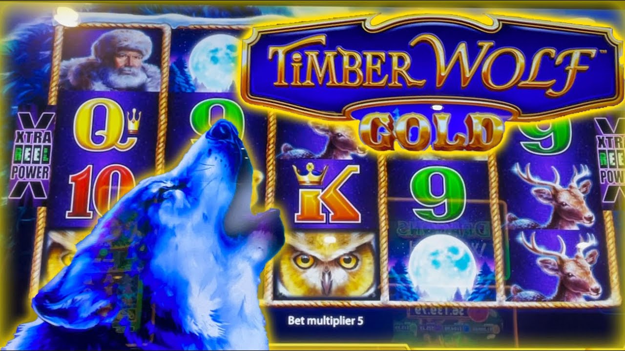 🐺 MASSIVE WIN ON TIMBERWOLF GOLD!  🐺  Beginners Luck!