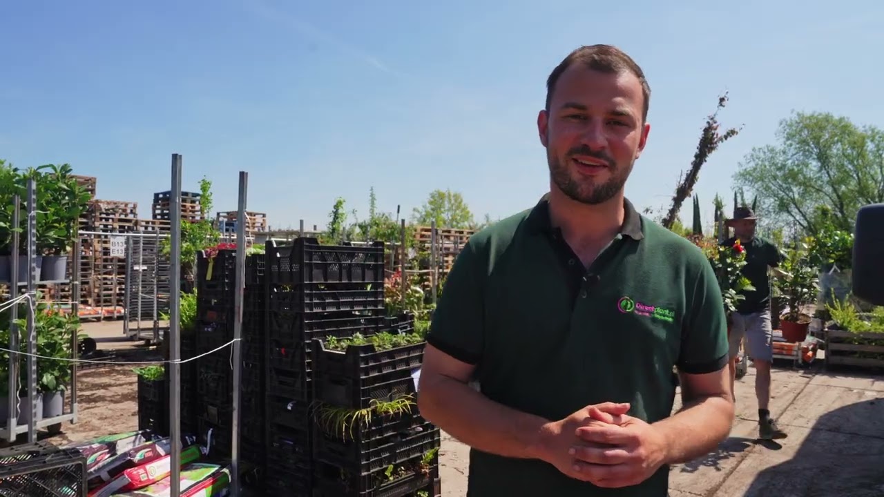 Bedankt voor uw bestelling| Directplant