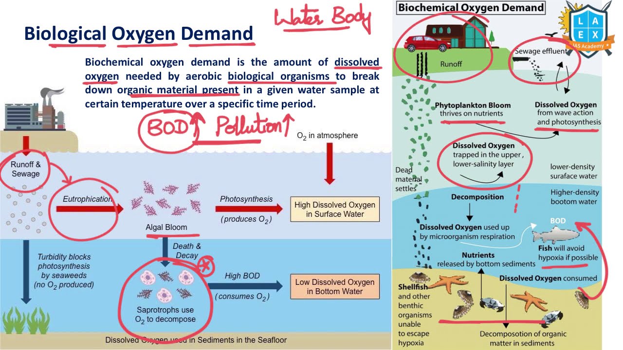 What is Biological Oxygen Demand ? || Biological Oxygen Demand (BOD) అంటే ఏమిటి? || La Excellence