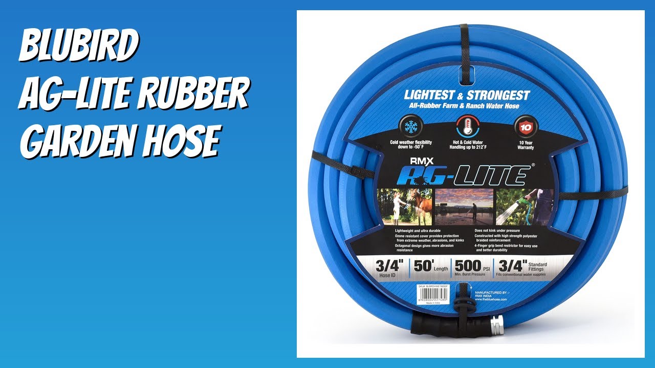 REVIEW (2026): BLUBIRD AG-LITE Rubber Garden Hose. Features