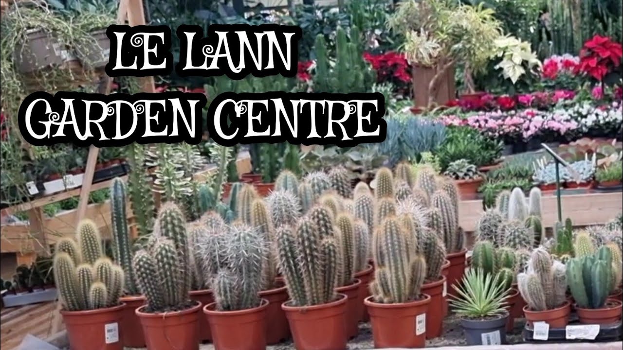 Quick Stop at Le Lann Garden Centre #gardencentre #succulentlover #bordeaux #zone9