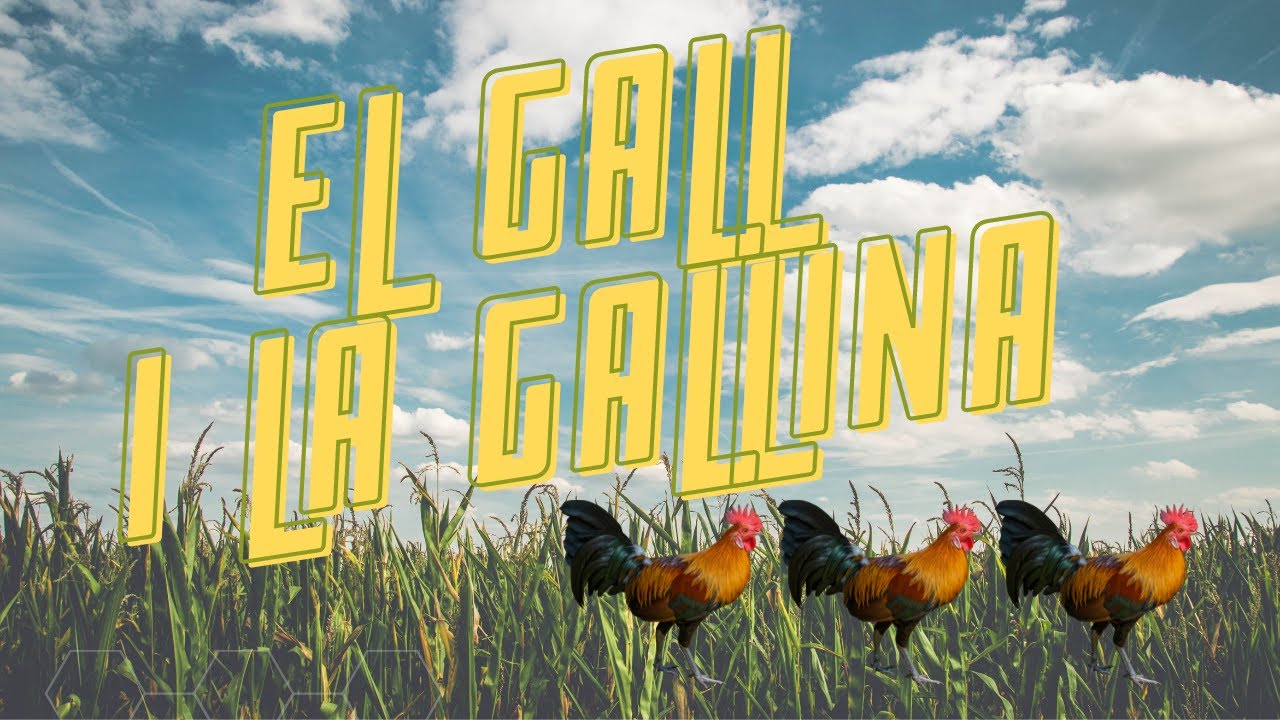EL GALL I LA GALLINA. Cançó popular infantil sobre galls, gallines i petons.