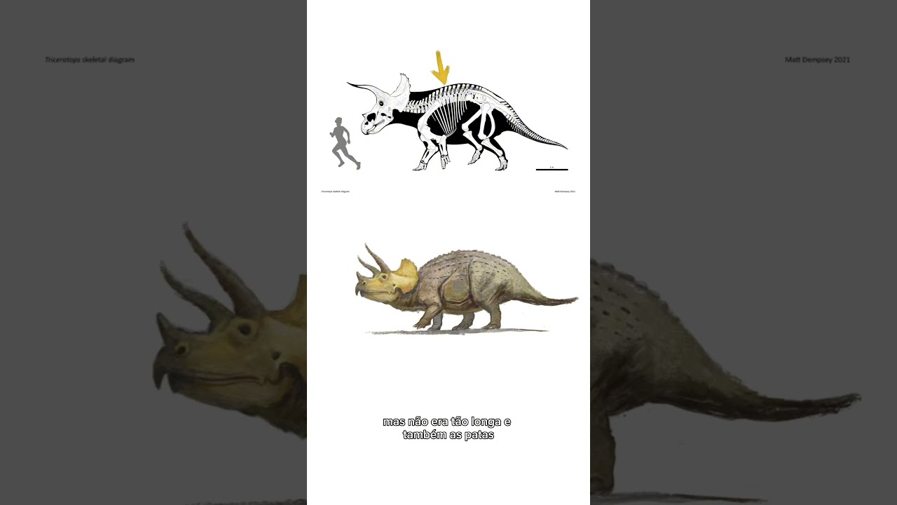 Triceratops Vintage X Contempor&acirc;neo