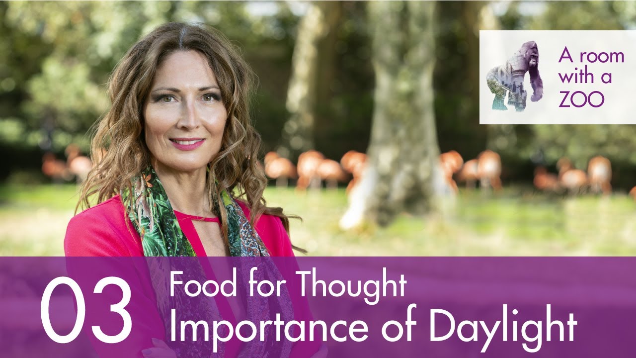 Food for Thought with Anja Stas #3: The Importance of Daylight
