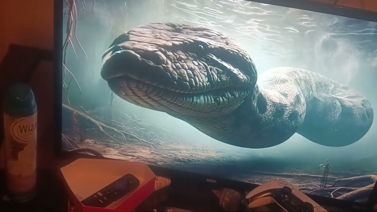 The biggest snake caught on camera reaction 