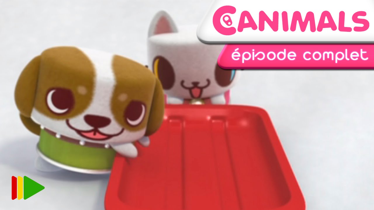 Canimals - 12 - Sports d'hiver