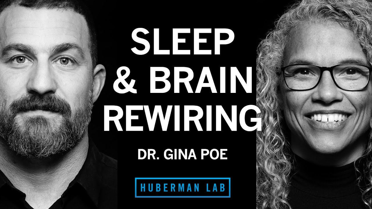 Use Sleep to Enhance Learning, Memory & Emotional State | Dr. Gina Poe
