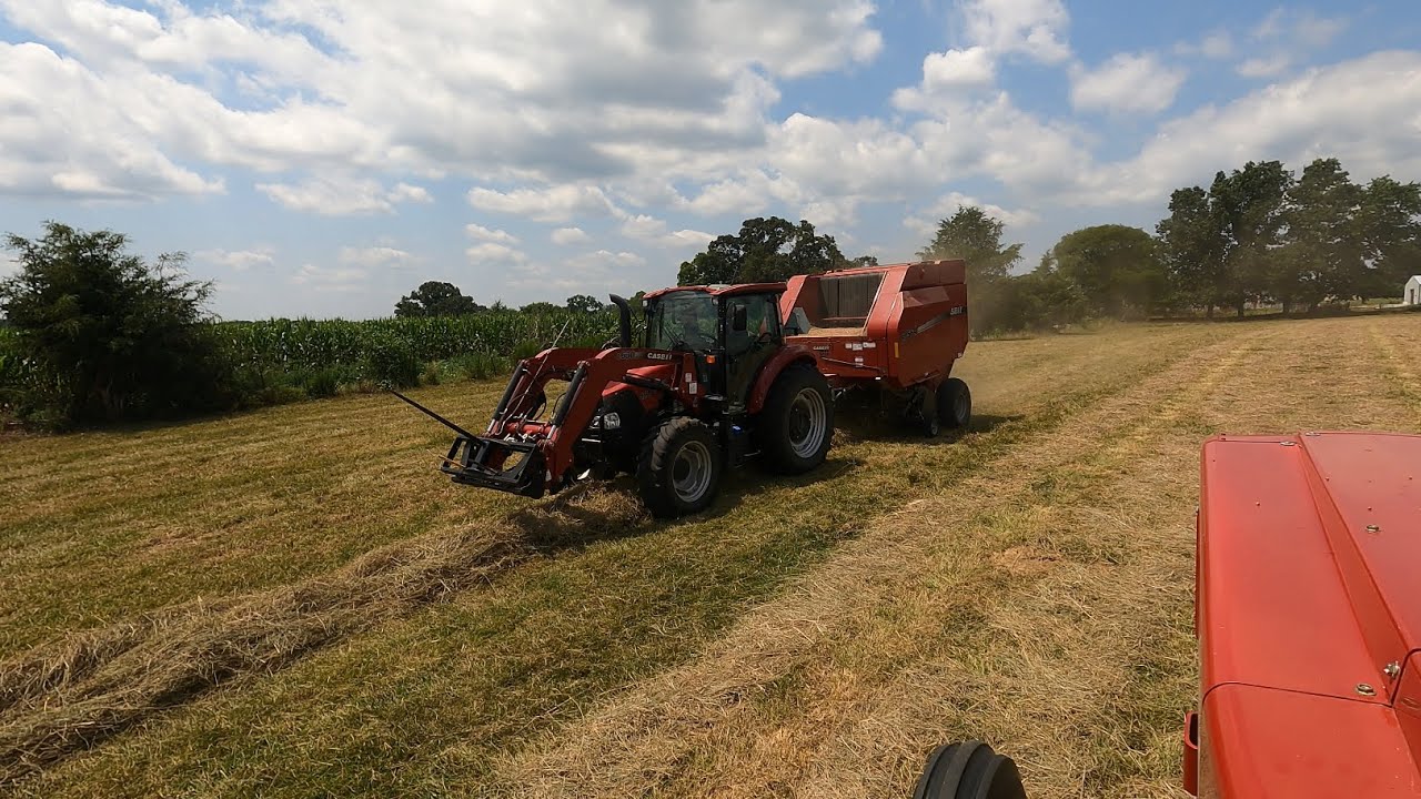 The Race is On! Cutting , Raking and Rolling. 1066 IH action