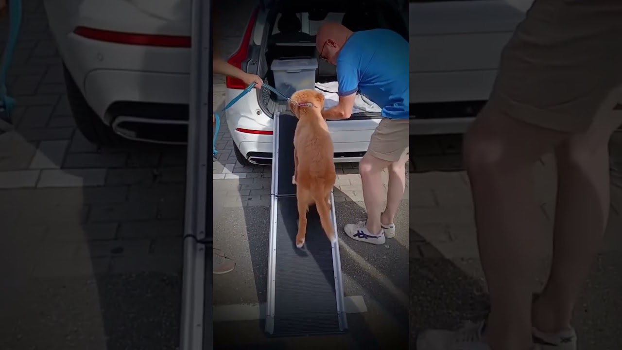 Maak jij al gebruik van een loopplank?