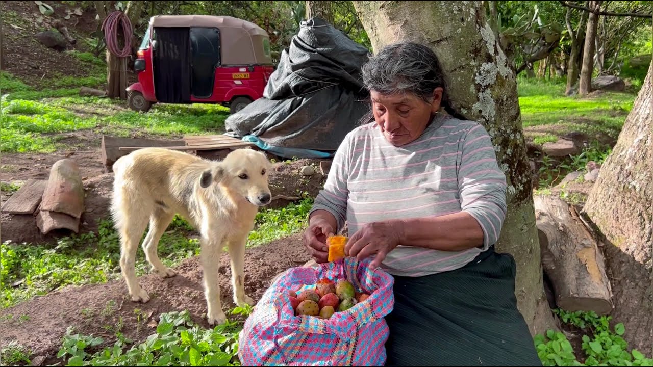 El día que llegamos a Huanta a visitar a la Señora Epifania👵🐕🪴