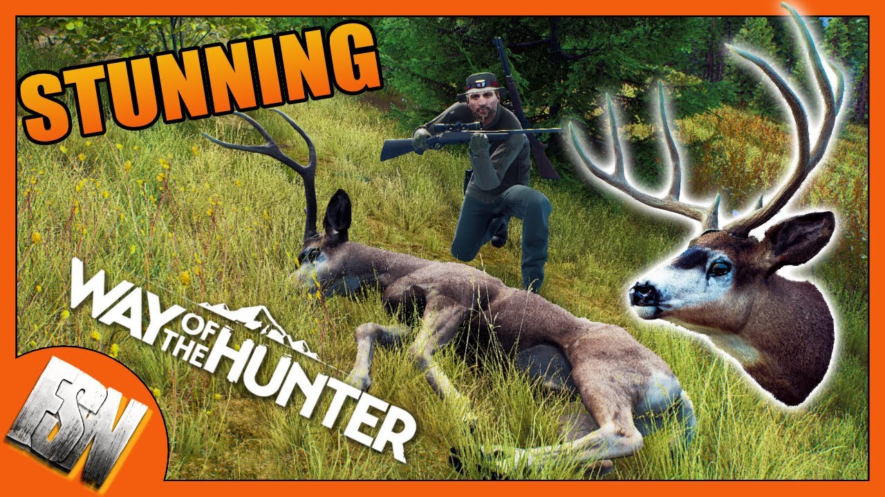 WAY OF THE HUNTER! First Impressions! COTW Killer?!?!