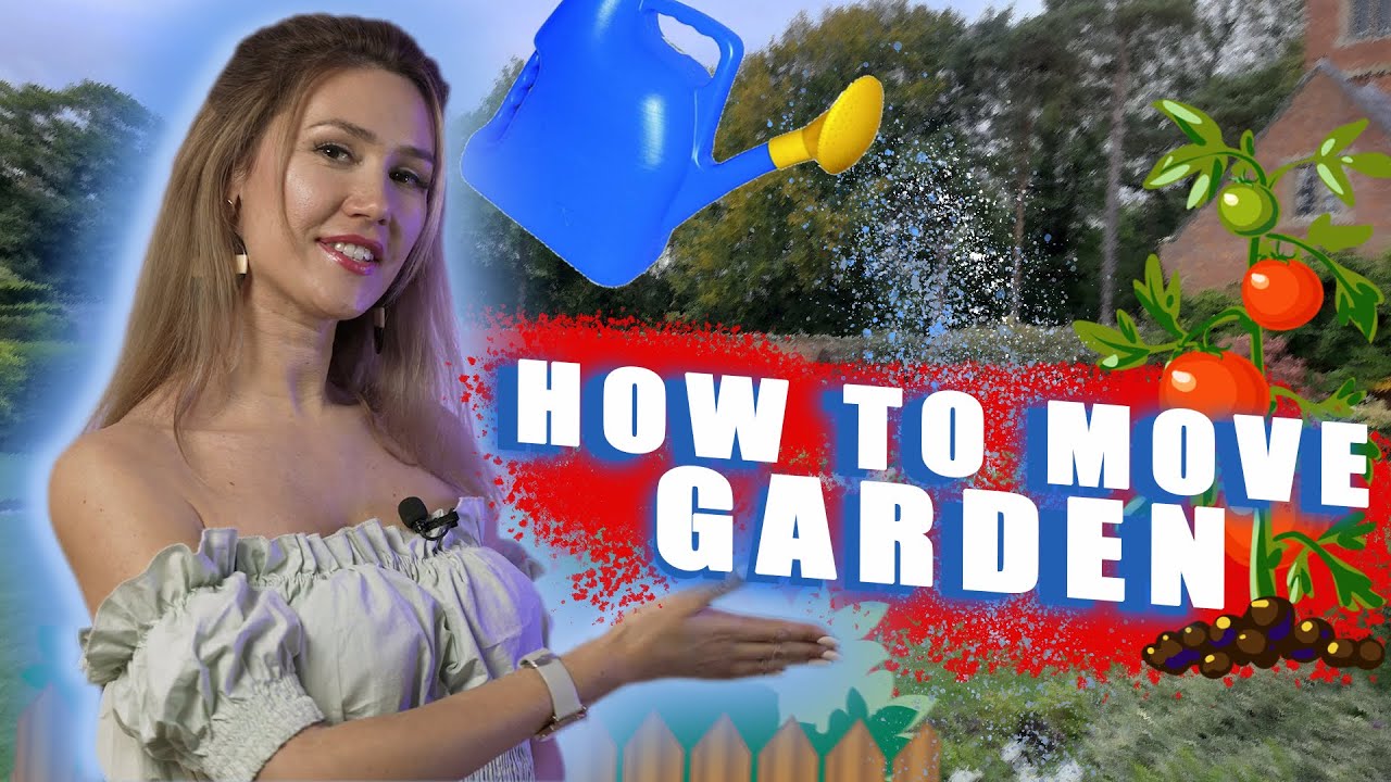 How to move your garden plants. Plants living without soil?! 2022