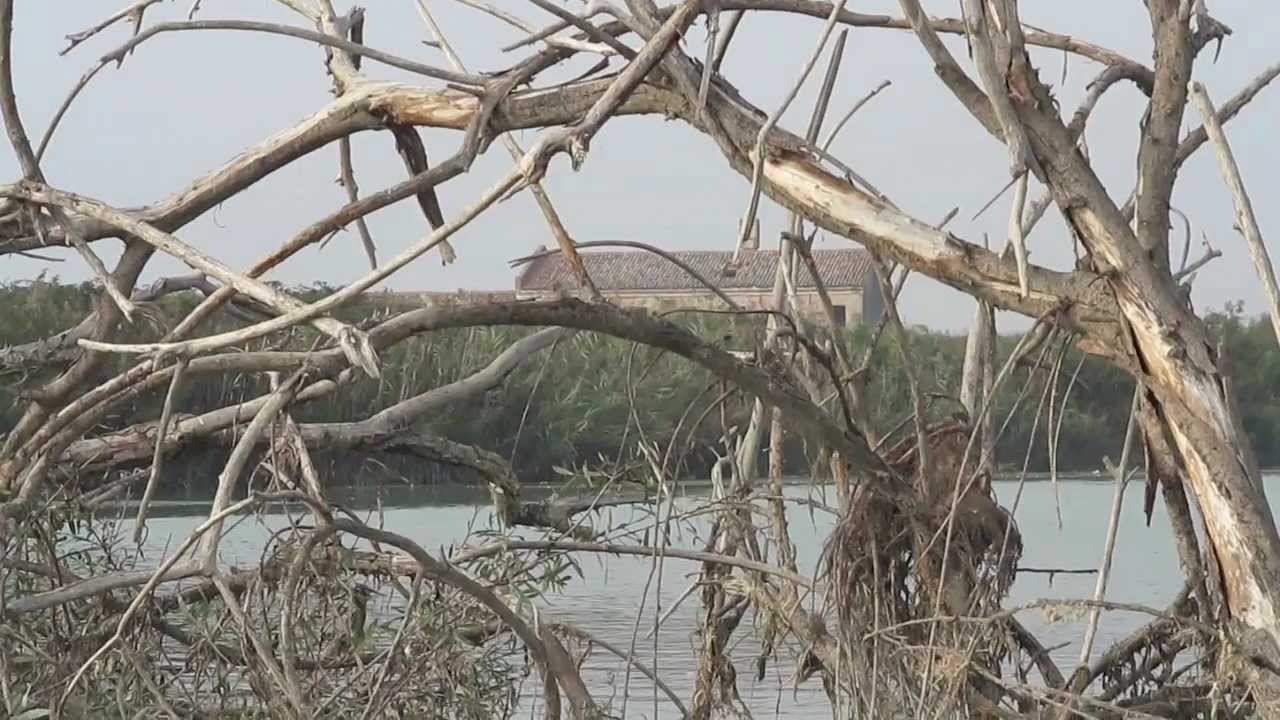LA LIVENZA DALLE SORGENTI AL MARE: QUATTRO GIORNI SUL FILO DEL FIUME