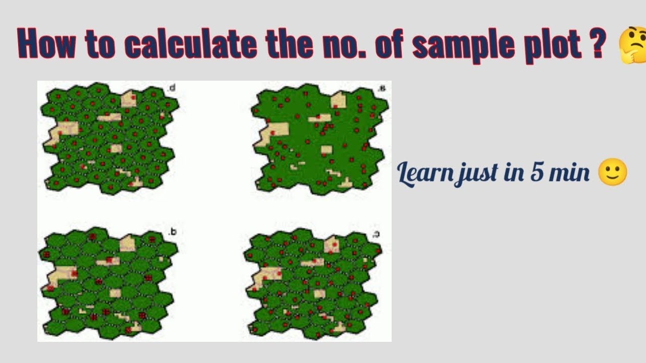 How to calculate the no. of sample plot ?