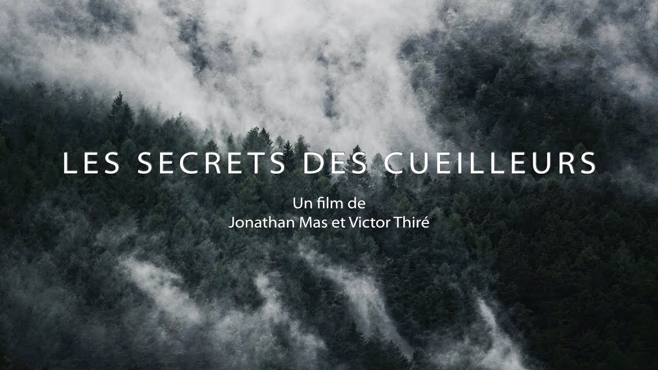 LES SECRETS DES CUEILLEURS
