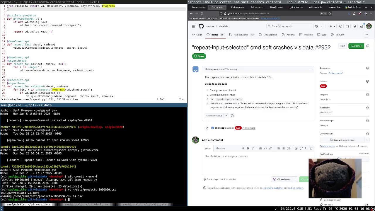 [visidata] issues and PRs